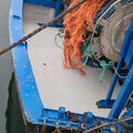 Extra picture for advert 114760