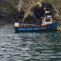 Extra picture for advert 127110